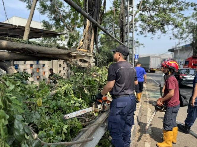 
					Saat Cuaca Ekstrem, BPBD Imbau Jangan Berteduh di Tempat Ini