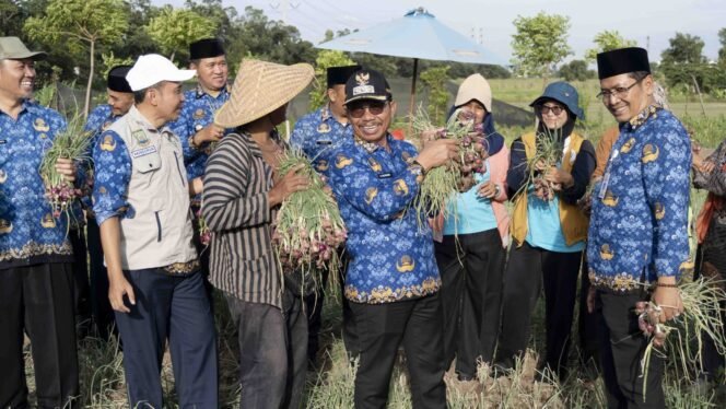 
					Urban Farming Kian Berkembang, Petani Batuceper Panen Bawang Merah dan Melon